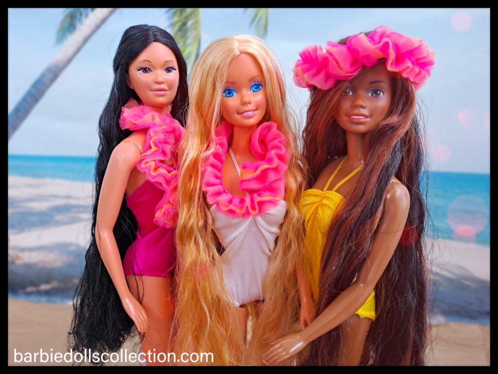 My Beach Barbie Dolls