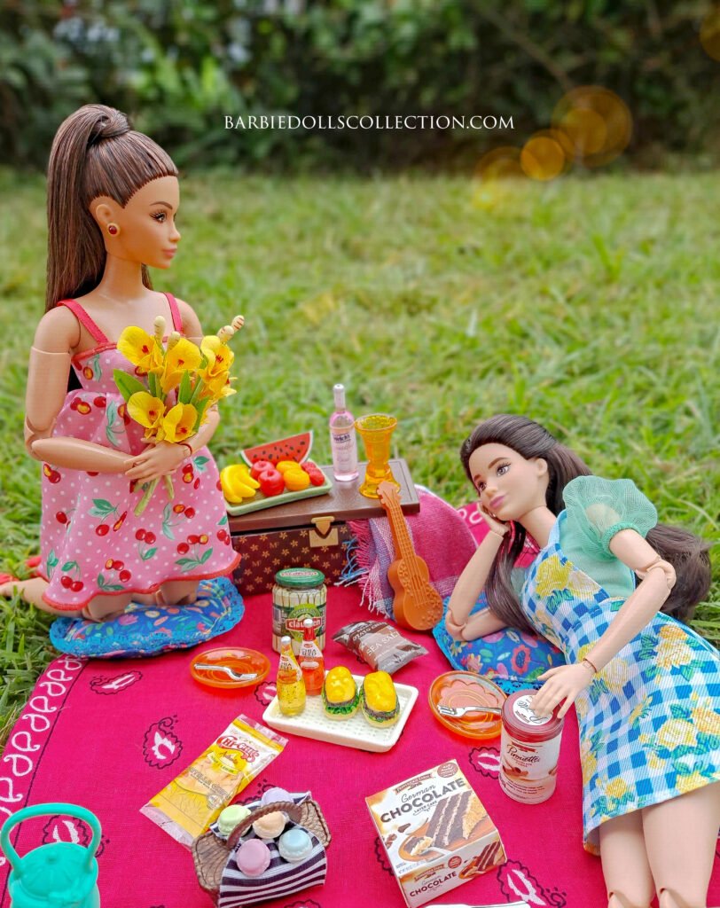Barbie Picnic Inspiration