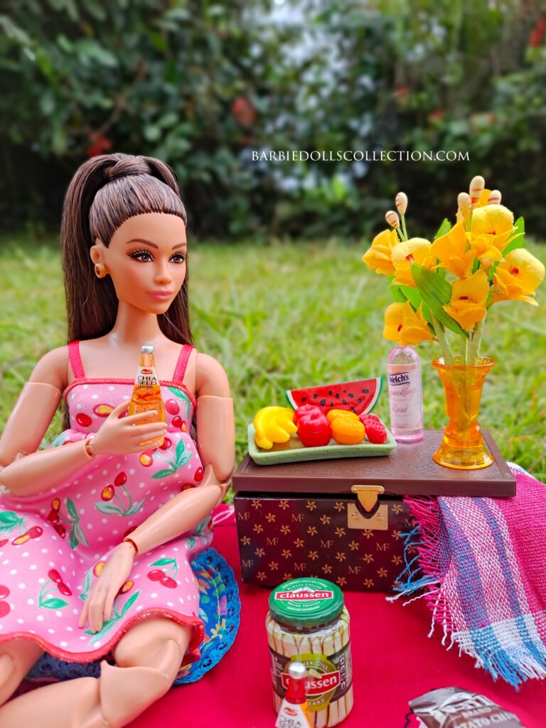 Barbie Picnic Inspiration