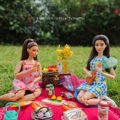 Barbie Picnic Inspiration