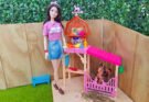 Barbie Mysteries The Great Horse Chase Playset with Renee